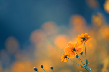 培训师的基本要求