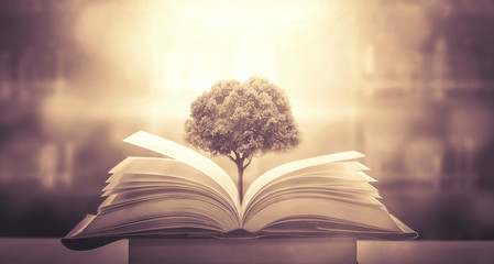 山地车品牌、车型、价格谁能系统的给我介绍下？