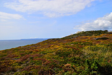 新能源汽车电机是交流还是直流