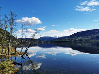 合肥市医保卡丢了怎么补办