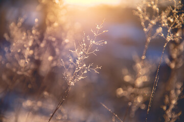 去泰国旅游飞机上什么食品不能带？