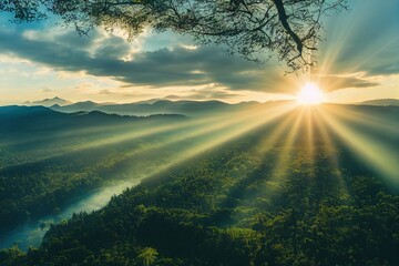 生姜适合什么土质和气候条件