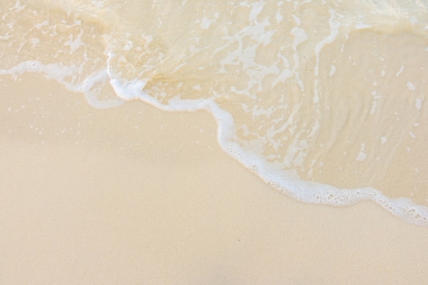 去泰国旅游飞机上什么食品不能带？