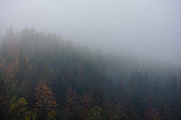 合肥市医保卡丢了怎么补办