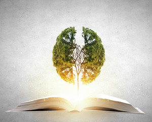 大量土豆怎么长期储存