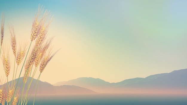 梧州到云浮金水台多少公里