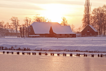 生姜适合什么土质和气候条件
